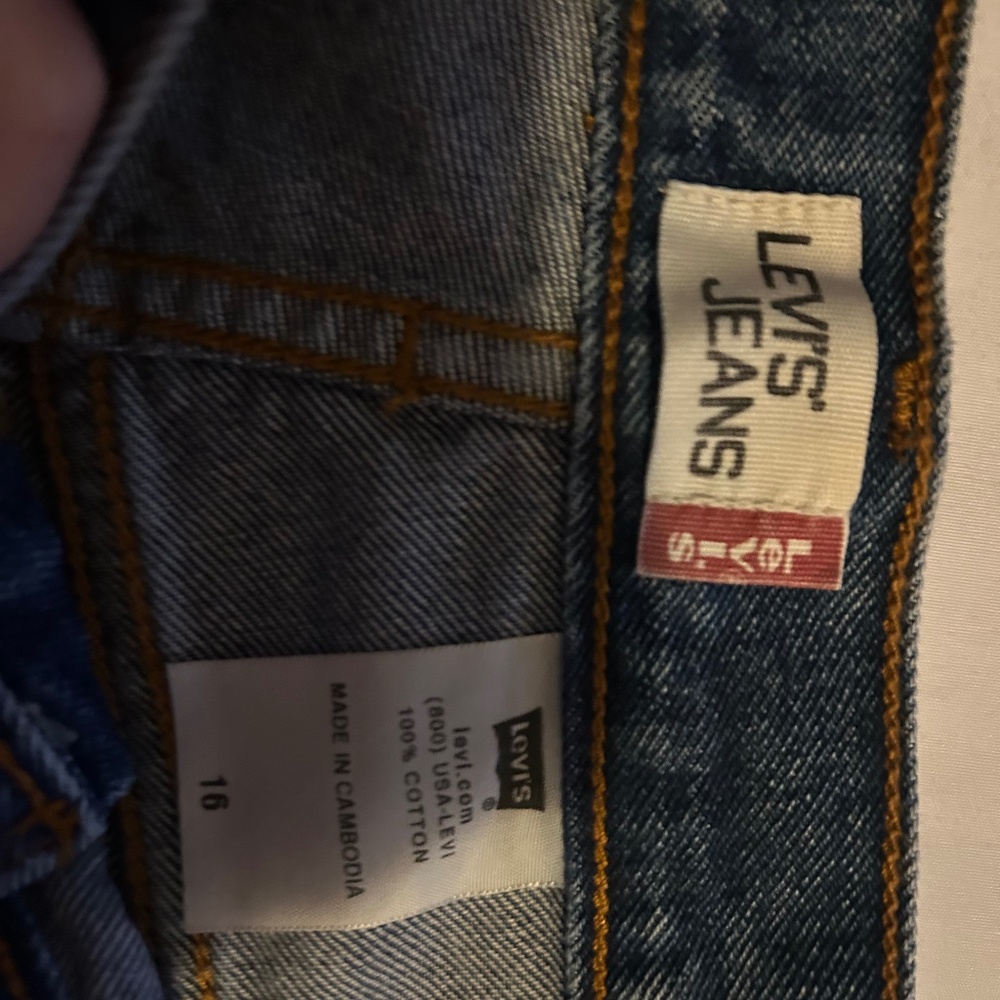 Levis reg tag